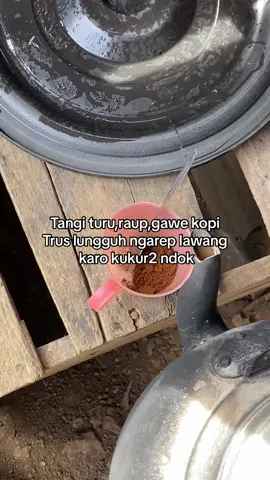 Soyo di kukur soyo penak 🤣#fyp #viral #tiktok #fyppppppppppppppppppppppp #trend #ngopi #pengangguran 