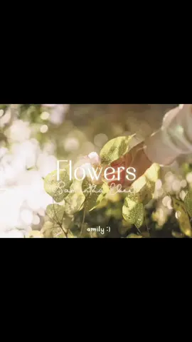 Flowers - Samantha Ebert . . . #Dios #jovenescristianos #Love #fe 