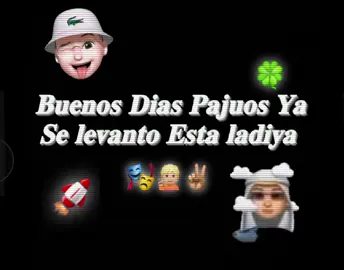 ʙᴜᴇɴᴏs ᴅɪᴀs ᴘᴀᴊᴜᴏs 🍀💯😎#paratii #estadosparawhatsapp #sueltale #sigueme_y_te_sigo❤️💬 