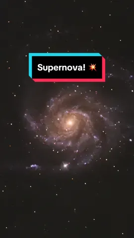 Supernova 💥✨🌌  The supernova in M101, also known as the Pinwheel Galaxy, is an intriguing astronomical event. In May 2023, a Type II supernova, designated SN 2023ixf, was discovered in this galaxy. Type II supernovae occur when a massive star exhausts its nuclear fuel, leading to a catastrophic collapse of its core and a subsequent explosion.SN 2023ixf is particularly notable due to M101's proximity to Earth, roughly 21 million light-years away, making it one of the closest and most studied supernovae in recent years. Observations from various telescopes around the world, including space-based observatories, have provided valuable data on the explosion's light curve, spectra, and the surrounding environment. This event offers astronomers a unique opportunity to study the life cycle of massive stars, the mechanics of supernova explosions, and the subsequent impact on the interstellar medium. In this image, i artificially added the spiked around the supernova for emphasis.  Camera: ZWO ASI2600MC Duo APS-C Cooled Color Astronomy Camera from @agenaastro Telescope: Celestron 11” EDGE HD Total integration time: 2 hours.  #fyp #Supernova   #M101   #PinwheelGalaxy   #SN2023ixf   #Astronomy   #Space   #Astrophysics   #CosmicEvent   #StellarExplosion   #GalacticDiscovery   #TypeIISupernova   #SpaceObservation