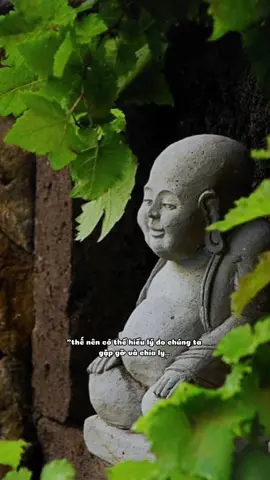 Mỗi người đều theo ước nguyện mà đến, chúng ta gặp gỡ và chia ly đã được định sẵn... #CapCut #xuhuong #tuetam9519 #trichdanhay #tamtrang #tuetamhocphat🍀 #phatphapnhiemmau #nammobonsuthichcamauniphat 