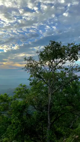 Wather #vidio #timelapse #bangladesh #foryou #world #tiktok #viral #wader 