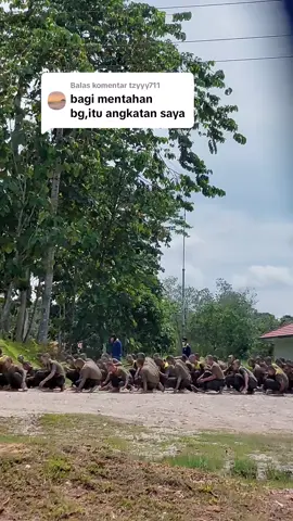 Membalas @tzyyy711 done #pama #pamapersadanusantara #fyp 