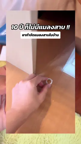 รีวิวดีจนต้องซื้อมาลองใช้ดู ทั้งๆที่บ้านก็ไม่มีแมลงสาบ 5555 ลองซื้อมาใช้กันดูนะคะทุกคน #กําจัดแมลงสาบ 