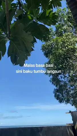 #serlok #kitagasss💨💨 #fyppppppppppppppppppppppp #virall #tiktok #masukberanda #malukupride🏝🔥 