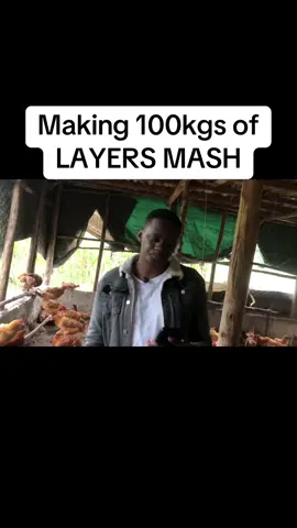 #fypシ #kenyansinusa🇺🇸 #poultry #fypシ゚viral #chicken 