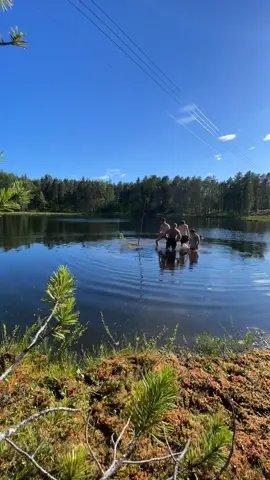 Thx for 1,8 million followers! 🤩🐸🎉🫡🫶