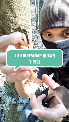 Membalas @baguspenuhdoaa ini tutor nyadap irisan tipis, semoga bermanfaaf ya! #petanikaret #pohonkaret #nyadapkaret #pendereskaret #getahkaret #gacor #tips #pyf #tiktok 