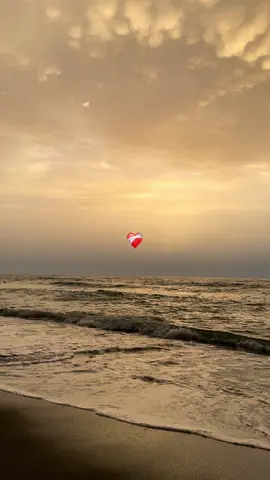 🧏🏼…#chebdjalil #الجزائر🇩🇿_تونس🇹🇳_المغرب🇲🇦 #tagiha💍tagiiih🖇❤ #راي #rai #fouryoupage #music #fyp #foryou #fypシ 