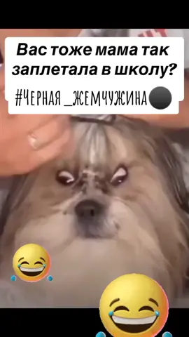 #Черная_жемчужина⚫ #юмор