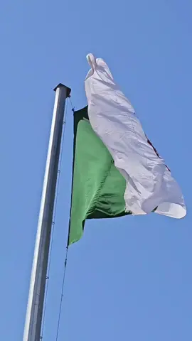 Independence Day, celebrated on July 5th, 1962, marked a significant milestone in the nation's history. As we approach July 2024, we will commemorate 62 years of independence, a testament to the nation's resilience and progress. #CapCut #familytime #independenceday #dayinmylife #2024 #algeria #algérie #algerie #foryou #fyp #pourtoi #amazing #flags #nation #memories #History 