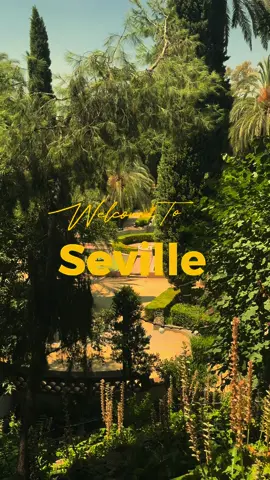 Welcome to Seville 🍊@Abbi Gibson 🍊#CapCut #seville #sevilla #Summer #holiday #europeansummer #citybreak #couples #sun #sunset #plazadeespanya #orange #TikTokHolidays #weekend #spain #cinematic #cinematography 