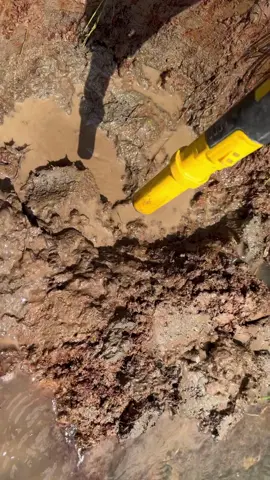 Real treasure hunt