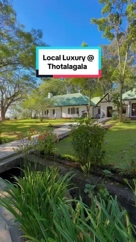 This stunning 7-bedroom boutique villa, located just 1 hour from the renowned town of Ella, offers a serene escape in Haputale.  Nestled amid verdant tea plantations and misty mountains, Thotalagala presents panoramic vistas that are truly captivating.  Highlights Include: **Postcard-Worthy Location**: Perfect for capturing breathtaking moments. **Scenic Infinity Pool**: For serene swimming with magnificent views. **Tailored Service**: From personalized welcome notes to nightly goodnight messages for all guests.  **Curated Dining Experiences**: Relish in delectable meals crafted by the in-house chef.  - Afternoon Tea on the lawn - Fireside Feast - Four-course Gourmet Dinner **Colonial Era Interiors**: Blending historic charm with modern comfort. **Elegant Cigar Room**: Perfect for a refined nightcap. **Outdoor Bonfires**: Enjoy cozy gatherings with friends and family. **Manicured Lush Lawn**: Ideal for relaxation, picturesque settings and intimate gatherings. **Guided Treks**: Explore stunning viewpoints and rivers. **Premium Cocktails and Liquor**: The best selection of drinks to complement your stay throughout.  This tranquil retreat at Thotalagala offers the pinnacle of #LocalLuxury  AD/PR STAY #thotalagala #haputale #srilanka #visitsrilanka #luxurytravel #srilankadaily #travelsrilanka #travel #srilankatravel #fypシ゚viral #luxuryhotel 