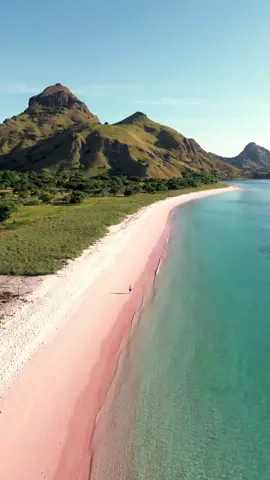 Pesona Pantai pink Labuan Bajo  Indonesia 🌊✨ Simpan video ini agar wishlist kalian ke bajo segera terwujud🤩 • • #JelajahLiburan #diindonesiaaja #labuanbajoindonesia #pinkbeachkomodo #sunsetlabuanbajoflores🥰🥰 #labuanbajotiktok #labuanbajotrip #pesonaindonesia #wonderfulindonesia #djiera @Pesona Indonesia @Wonderful Indonesia @DJI Official 