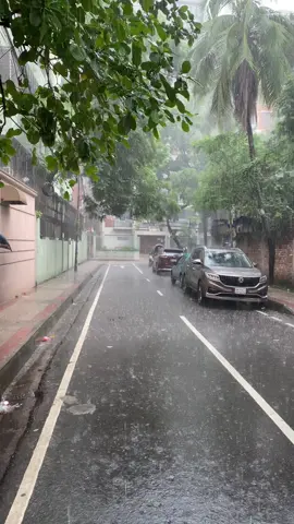 Brishti . Raw video and sound of rain in dhaka.  #rain #brishti #bristi #dhaka #foryou #fyp #reels 