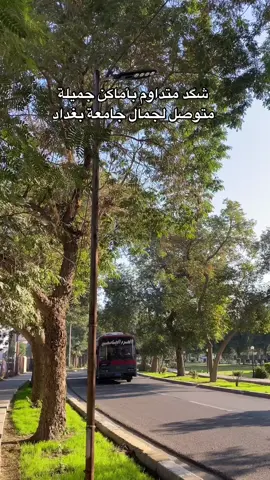 #جامعة_بغداد #الشعب_الصيني_ماله_حل 