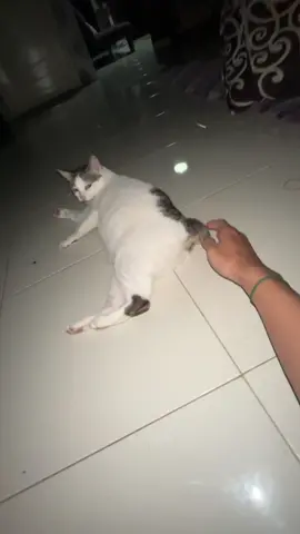 ntahlah