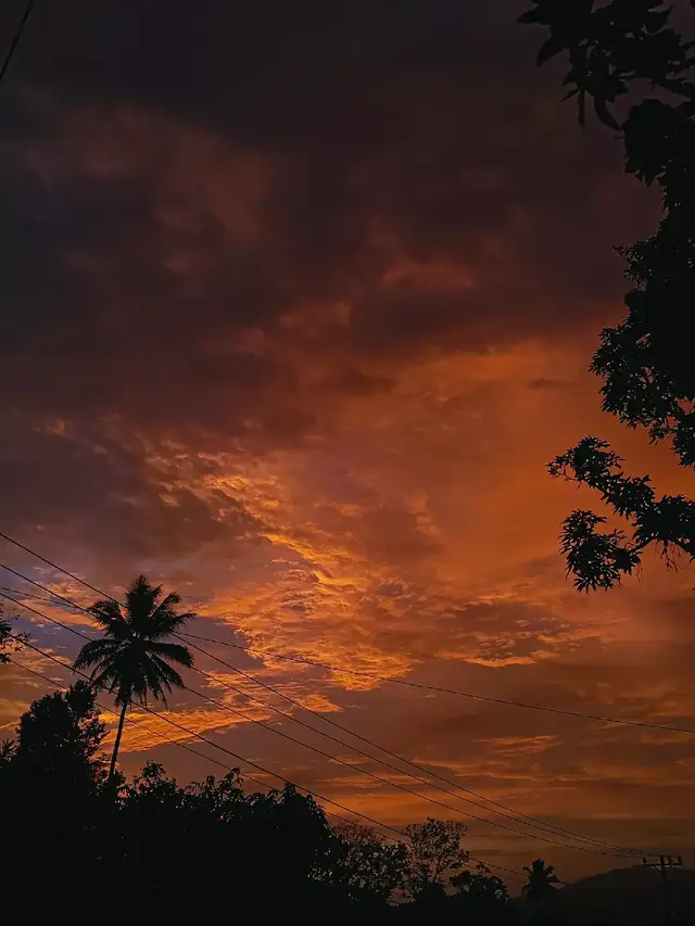 sunset compilations 🌅#aesthetic #sunset #sunsetvibes #senjasorehari 