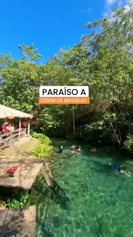 Um oásis no meio do cerrado com águas deliciosas!  Programação do dia 13 de Julho! Destino de nível super fácil sem trilha 🙌 📌 Nascente do Rio Bom Jesus  📅 Dias 13 de Julho 🥾 Nível fácil  💵 R$199/pessoa  ✔️ Incluso: ▪️Transporte executivo  ▪️Traslados ▪️Guias; ▪️Entradas ▪️Seguro Viagem ▪️Seguro Aventura ➡️ Mais informações e reservas aqui através do link na Bio #nascentedoriobomjesus #Goiás #turismo #ecoturismo 