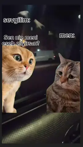 yaxşı edirəm🤣🤣 #kesfetedussun #tağedin😹❤ #fyppppppppppppppppppppppp #ksftolsun #TikTok #like #kesfetttttttttttt #สโลว์สมูท #😆😆😆 #ksftolsun 