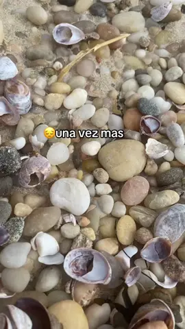 #labellaluz #cancion#music@JosEdu🇪🇨🇪🇨 @Jeily🤗 🥰familia3