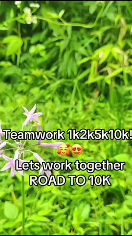 #Teamwork#10k#roadto10k#followtrain#follow
