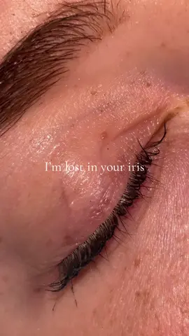 #hazeleyes #pullbackyoureyelids #imlostinyouriris #lashes #foryoupage #fyp #viral #foryou 