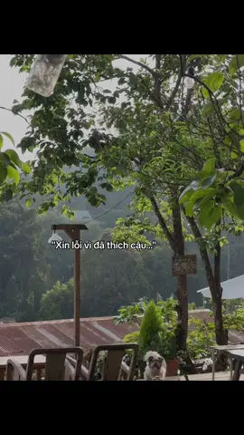 #nam_1th10 #tuimoto #dalatcafe #caphedalat 