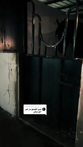 الرد على @𐩱𐩦𐩧𐩰 𐩱𐩣𐩣𐩶𐩧𐩨𐩺  #نزيه_الخالديه #محمد_الساكب #اذكروالله #مربط_نواصي_نجران #عاشق_الخيل_العربي_الاصيل #نجران #اكسبلورexplore 