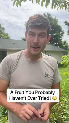 I bet you’ve never heard of this fruit before! It is absolutely incredible. #gardeningtips #gardening #garden #gardentok #fyp #foryou 