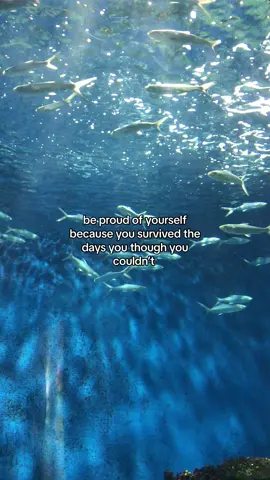 im so proud of you!