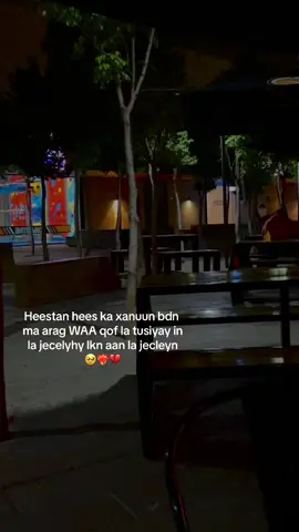 Markuu arko qofka inaa jeceshahy maxuu isku badala horta?🥹💔#reercomentland💪 #dumarland❤️❤️ #single #live #favorite #neirobitiktokrs🇰🇪 #nairobi #kenyantiktok #keygii🌍🤴🏻🙈 