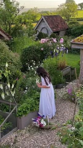 July evening in the garden 💚