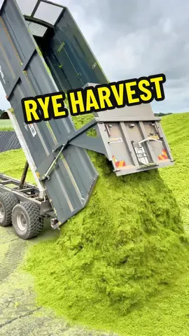 Here is Michael from AT Hill Ltd in his John Deere 9900i forage harvester. He is working in this field of Rye at Rockscape which will get clamped and covered then ferment into a feedstock #farmingvideos #prohorizon #britishfarming #farmersoftiktok #johndeere9900i 