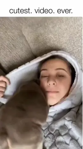 Funny & Cute Dogs 🤣 . . . .#dogsoftiktok #dog #dogs 