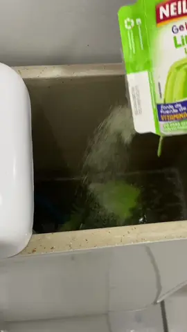 Os fabricantes de vaso não querem que vice saiba disso!! Experimete colocar grlatina na caixa acoplada!!  #dica #dicas #truque #truques #banheiro #vasosanitario #limpeza #gelatina #fly #flypシ 