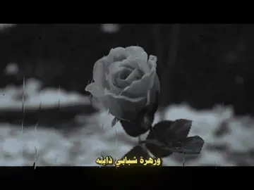 #مذهل_الصقور #قصيده #fypシ゚viral #fyp #foryoupage #هواجيس #tektok #هواجيس #me #foryou #مقالات_انسان_مريض #اكسبلور #ترند #fypシ゚viral 