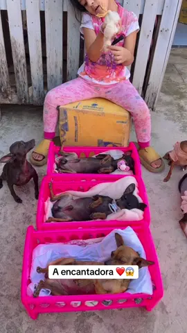 Olha isso😍🥹❤️❤️❤️ #meme #viral #animal #deus 