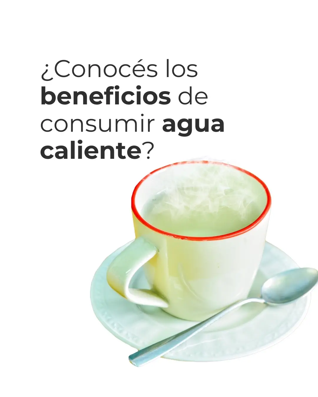 #ayunointermitente #agua #aguacaliente #oficina #estres #detox #cuidadodelapiel #pielsana #digestion #digestiontips #congestion #congestionnasal #resfriado #gripe #saludybienestar 