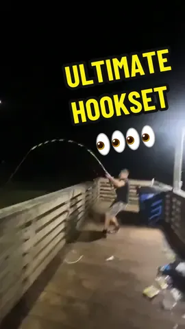no fish were harmed!😂 #fyp #viral #avets #customrods #texas #fypシ゚ #sharkfishing #txanglerjoseph #southtxanglers 