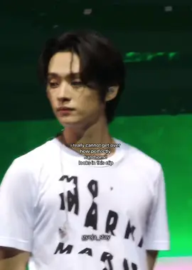 leeknow with long hair >>>>🧎‍♀️🧎‍♀️🧎‍♀️🧎‍♀️ #leeknowstraykids #straykidsfypシ #kpopfypシ #skzstays #skzstays #skzstay #leeknow #skzmaniactour