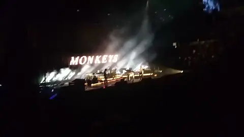 Monos! Monooooos!!!! Monos por todos ladooooos!!!!!