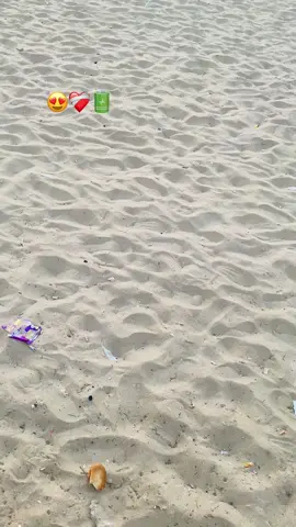 #بني_صاف_جوهرة_الغرب👌❤️ #béni_saf #foryou #viral #tiktokarab #شاطئ_بني_صاف🌊🏖️💕 