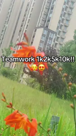 #Teamwork#10k#roadto10k#followtrain#follow