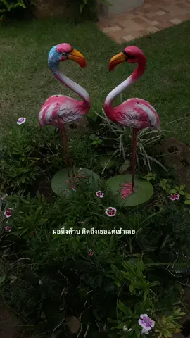 #เธรด #แท็กแฟน #fyp 