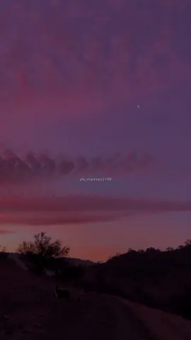 Me cuesta tanto olvidarte - Mecano. #letras #canción #lyrics #music 