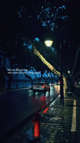 Hôm nay bạn bè thì đông mà sao long nhong một mình trên phố đông người..#_ily29th11 #tamtrang #lyrics #doisevedau #nhachaymoingay 