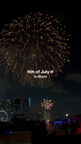 What a show🥹 #4thofjuly #4thofjulyparty #godblessamerica #4thofjulyfireworks 