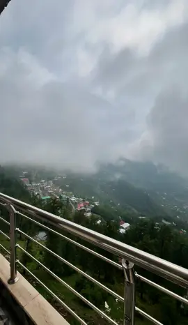 Jannat ❤️ #nature #murree #pakistanbeauty #northernareasofpakistan 